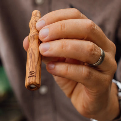 The Lio Device
